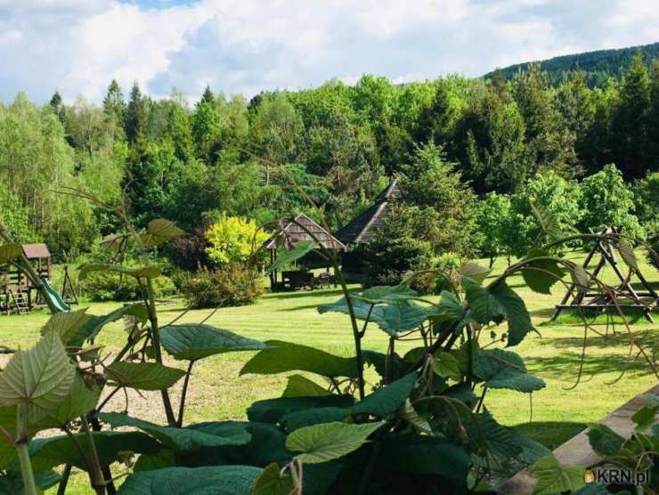 10 pokojowe, Dom  na sprzedaż, Przysłup, ul. 