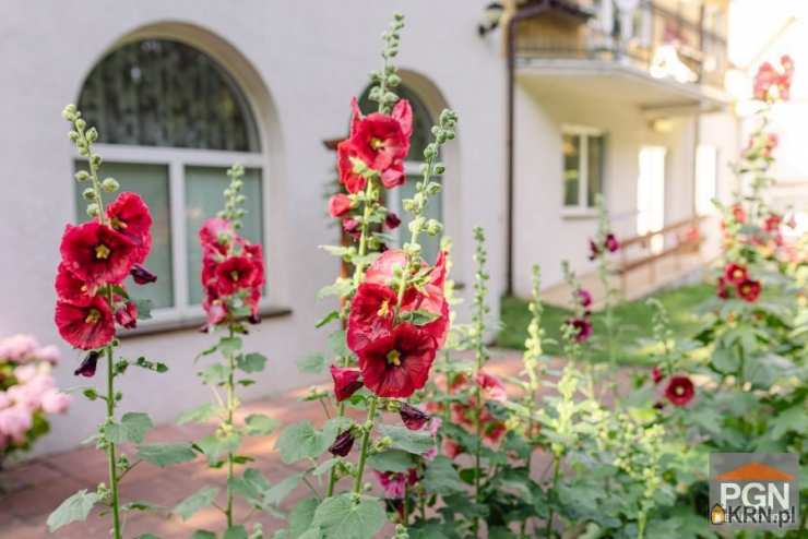 Dom  na sprzedaż, Pobierowo, ul. , 21 pokojowe
