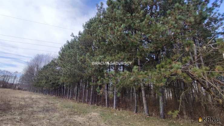 , Dom  na sprzedaż, Borek Szlachecki, ul. 