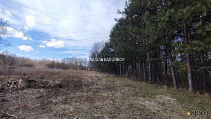 BRACIA SADURSCY NIERUCHOMOŚCI ODDZIAŁ BS5 NOWA HUTA, Dom  na sprzedaż, Borek Szlachecki, ul. 