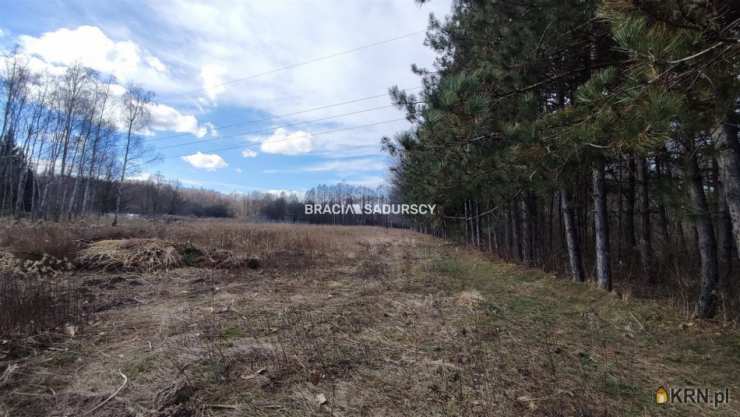 , Borek Szlachecki, ul. , Dom  na sprzedaż