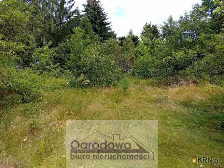 Kania Nowa, ul. , 1 pokojowe, Dom  na sprzedaż