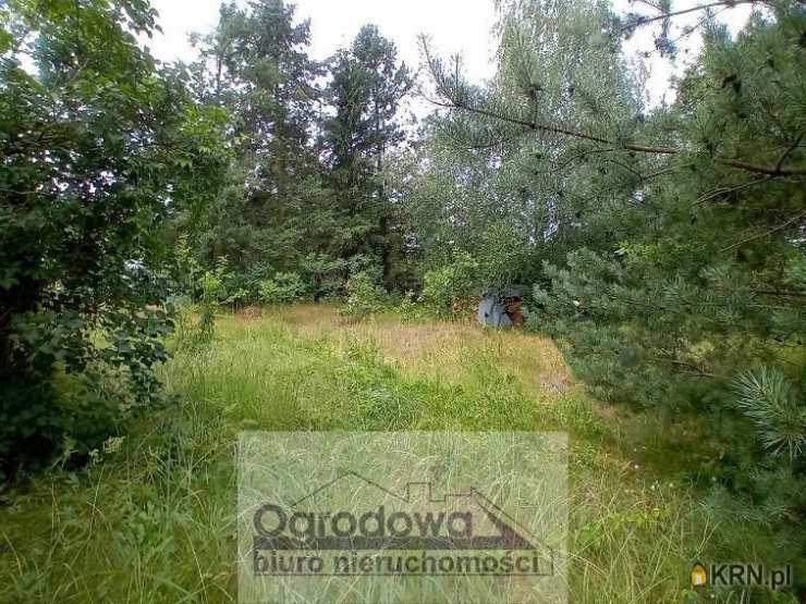 1 pokojowe, Kania Nowa, ul. , Dom  na sprzedaż