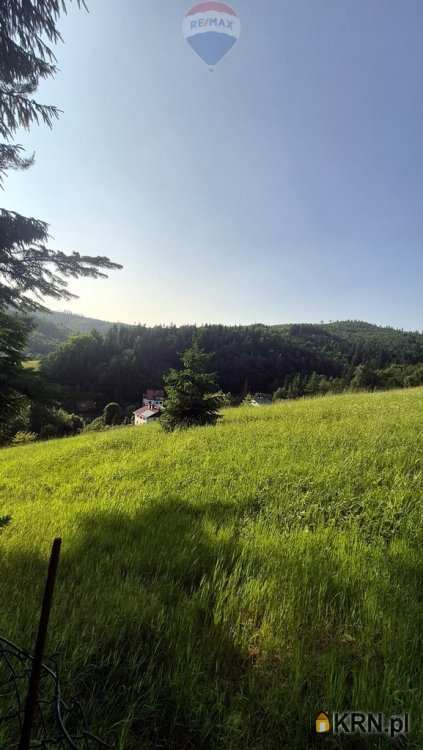 RE/MAX Polska, Dom  na sprzedaż, Wisła, ul. 