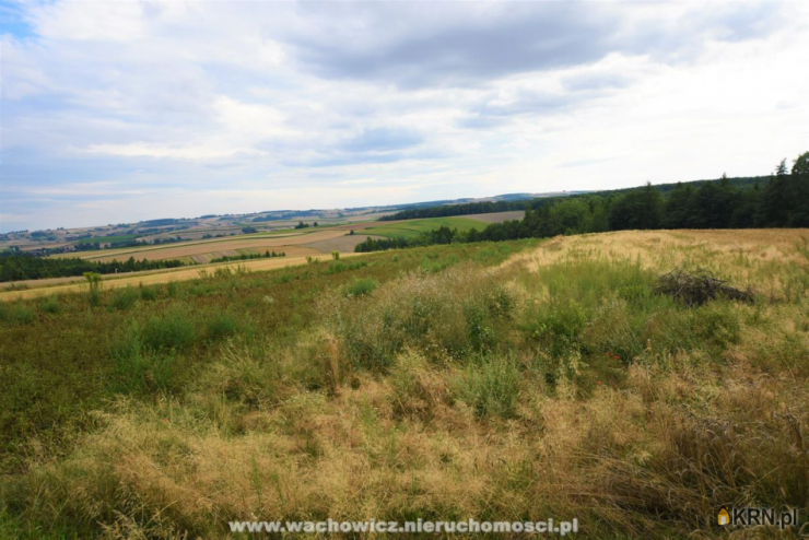 WACHOWICZ NIERUCHOMOŚCI - Agencja Nieruchomości i Ubezpieczeń Damian Wachowicz, Dom  na sprzedaż, Wymysłów, ul. 