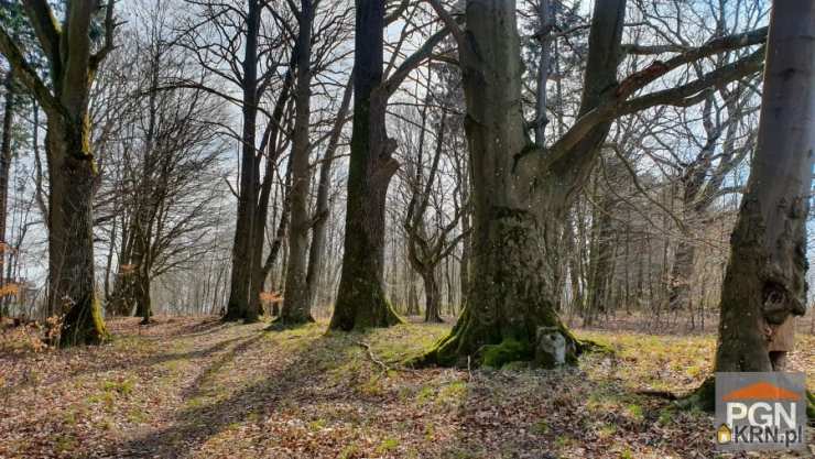 Bobolice, ul. , 13 pokojowe, Dom  na sprzedaż