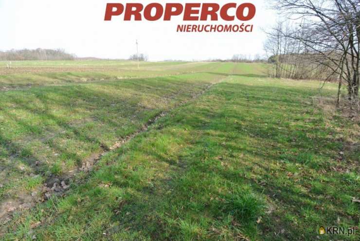 Budzyń, ul. , Dom  na sprzedaż, 