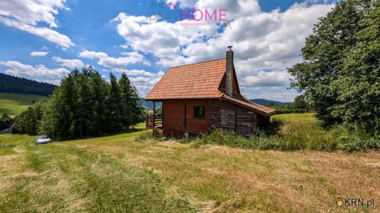 1 pokojowe, Czarna, ul. , Dom  na sprzedaż