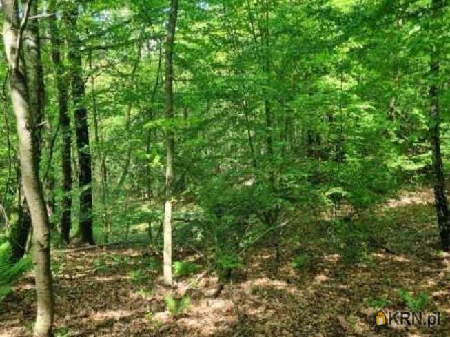 Dom  na sprzedaż, Izdebnik, ul. , 4 pokojowe