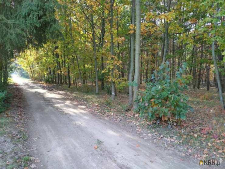 Dom  na sprzedaż, 2 pokojowe, Koniecpol, ul. 