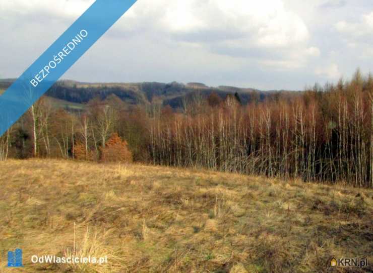 Dom  na sprzedaż, 2 pokojowe, Laskówka, ul. 