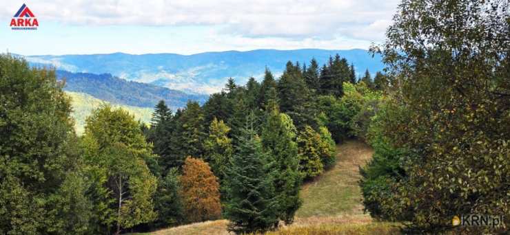 , Piwniczna-Zdrój, ul. , Dom  na sprzedaż