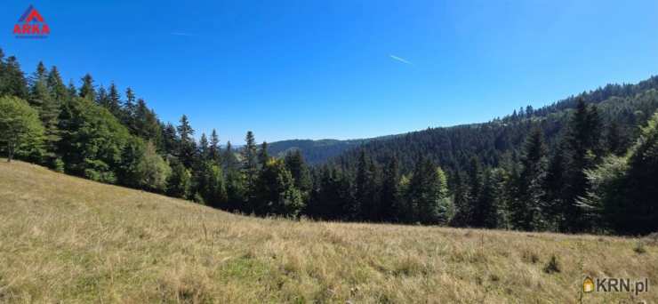 Piwniczna-Zdrój, ul. , Dom  na sprzedaż, 