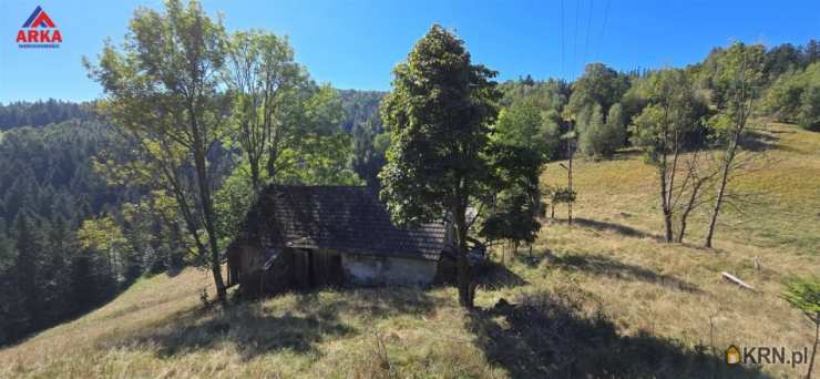 Piwniczna-Zdrój, ul. , , Dom  na sprzedaż