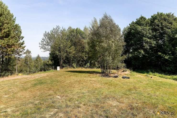 , Dom  na sprzedaż, Skrzydlna, ul. 