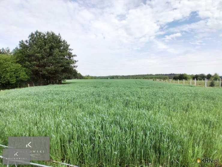 gm. Pokój, ul. , , Dom  na sprzedaż