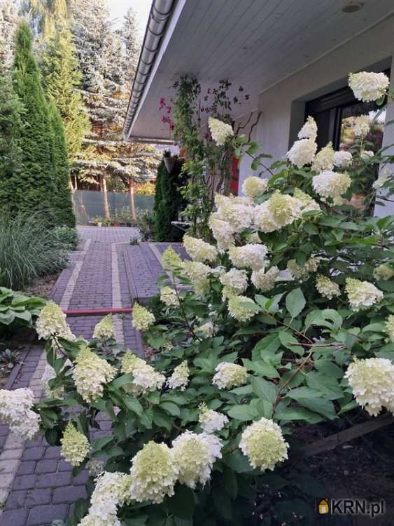 Nowy Dębiec, ul. Leśna, 3 pokojowe, Dom  na sprzedaż