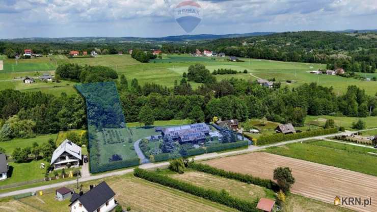 13 pokojowe, Borówna, ul. , Dom  na sprzedaż