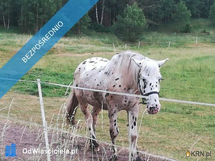 3 pokojowe, Wygonin, ul. , Dom  na sprzedaż