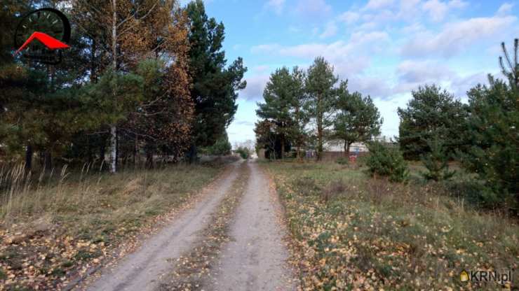Babiak, ul. Wojska Polskiego, Dom  na sprzedaż, 2 pokojowe