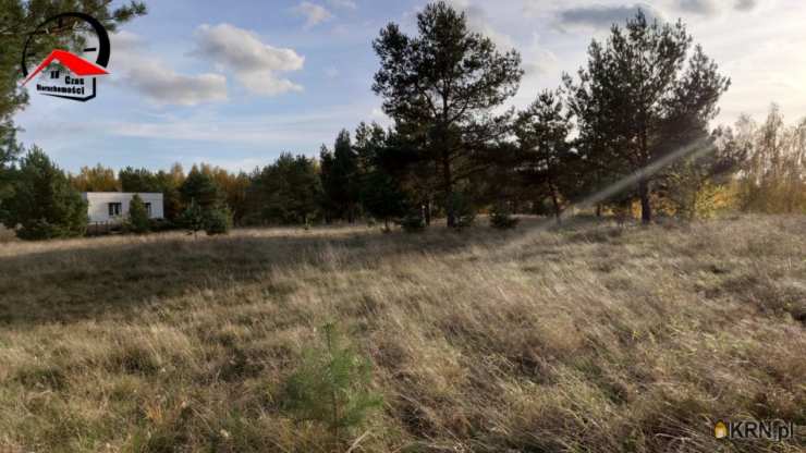2 pokojowe, Dom  na sprzedaż, Babiak, ul. Wojska Polskiego