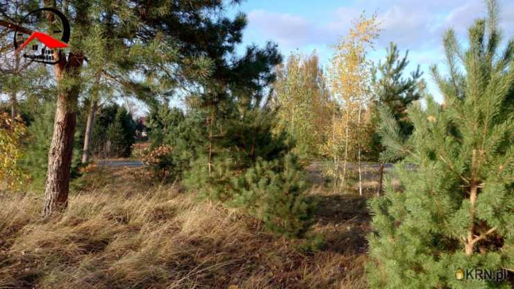 Czas Nieruchomości, Dom  na sprzedaż, Babiak, ul. Wojska Polskiego