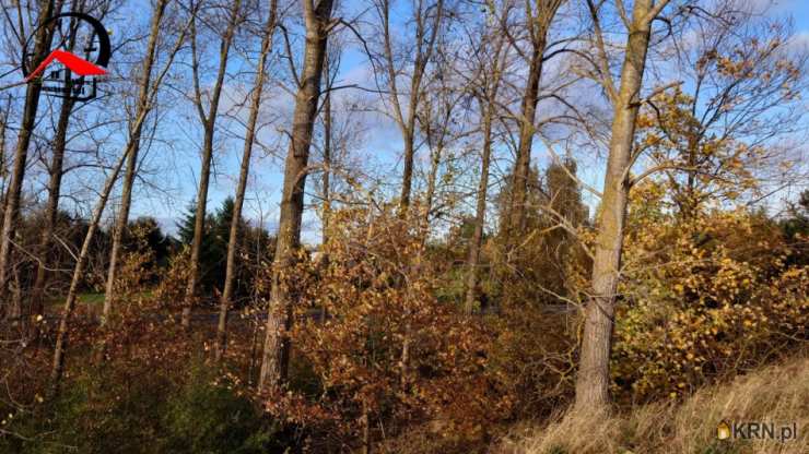 Babiak, ul. Wojska Polskiego, Dom  na sprzedaż, 2 pokojowe