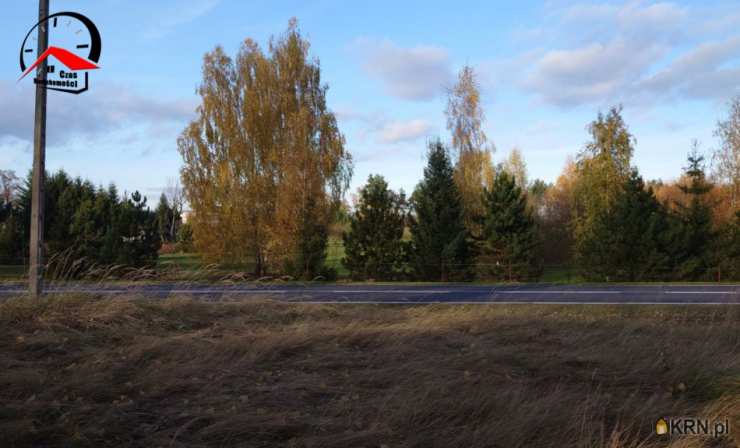 2 pokojowe, Dom  na sprzedaż, Babiak, ul. Wojska Polskiego