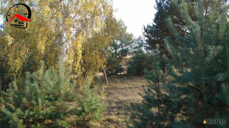 2 pokojowe, Babiak, ul. Wojska Polskiego, Dom  na sprzedaż