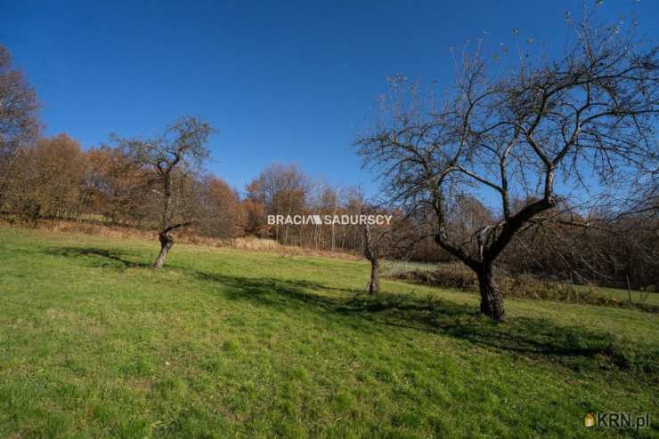 Dom  na sprzedaż, Leńcze, ul. , 