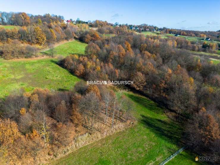 Dom  na sprzedaż, Leńcze, ul. , 