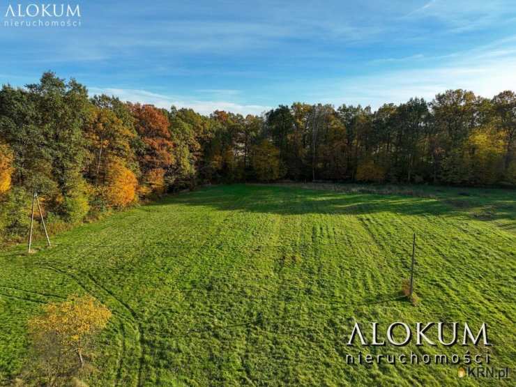 Dom  na sprzedaż, , Niepołomice, ul. 