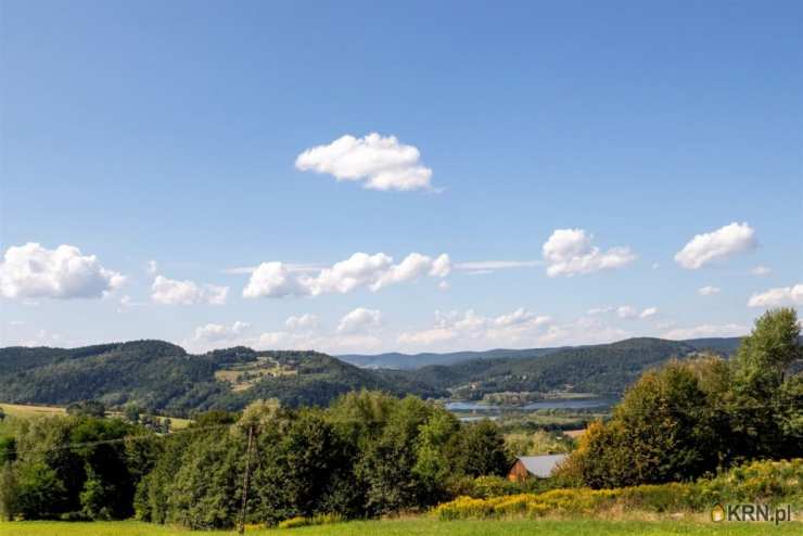 , Rożnów, ul. , Dom  na sprzedaż