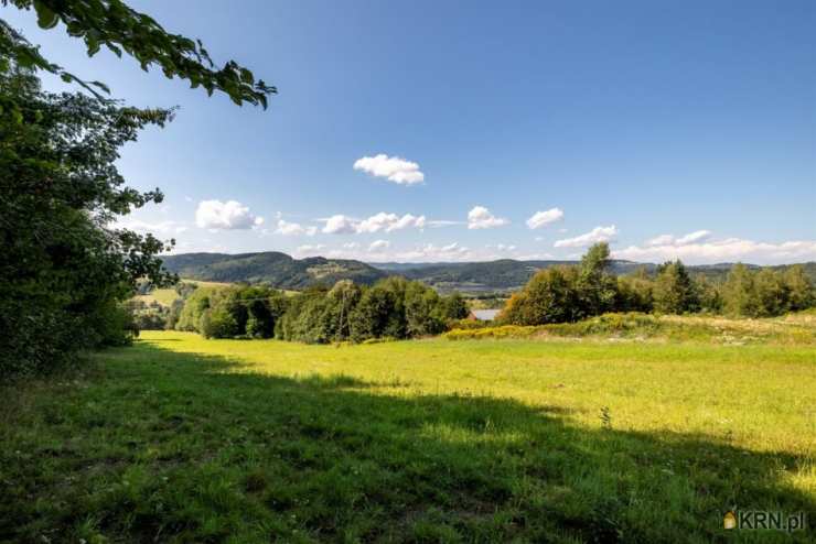 , Dom  na sprzedaż, Rożnów, ul. 