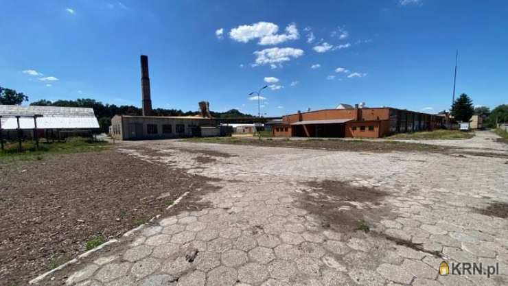 Dom  na sprzedaż, 10 pokojowe, Skwierzyna, ul. 