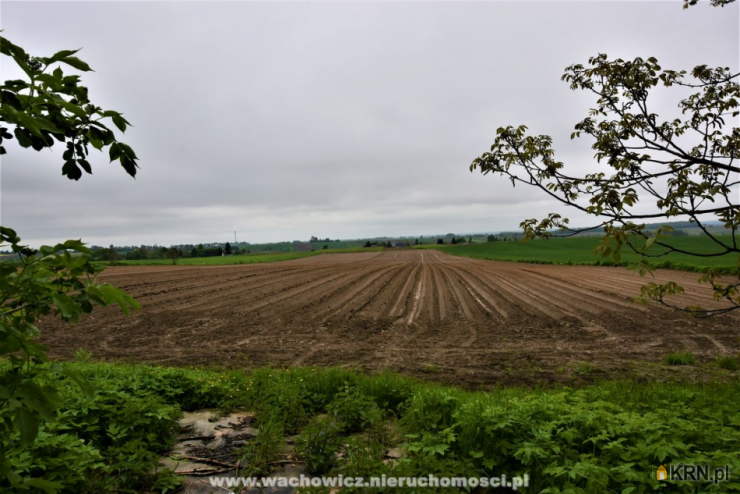 Dom  na sprzedaż, 3 pokojowe, Wierzbie, ul. 