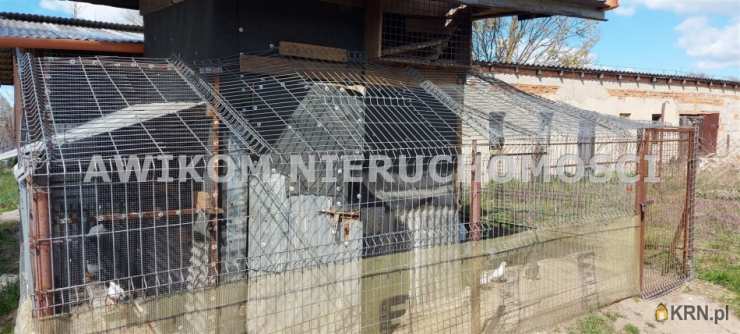 Pokrzywna, ul. , Dom  na sprzedaż, 