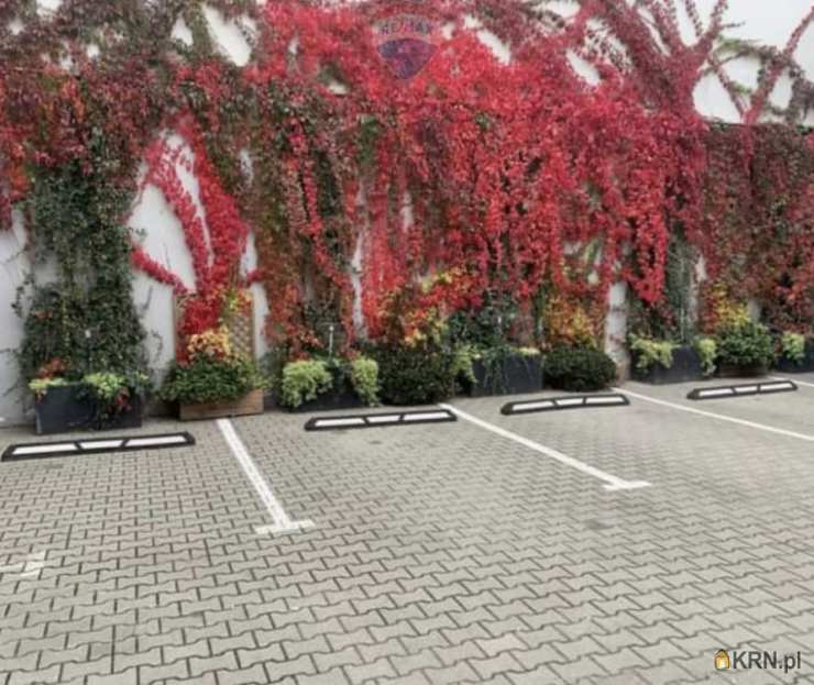 21 pokojowe, Poznań, Stare Miasto, ul. Stary Rynek, Dom  na sprzedaż