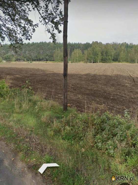 , Działki  na sprzedaż, Bełdów, ul. 