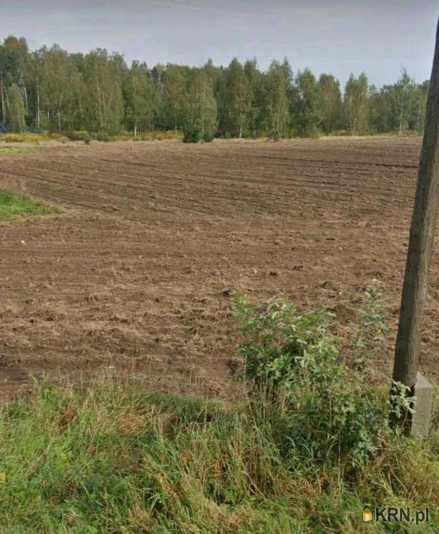 Działki  na sprzedaż, Bełdów, ul. , 