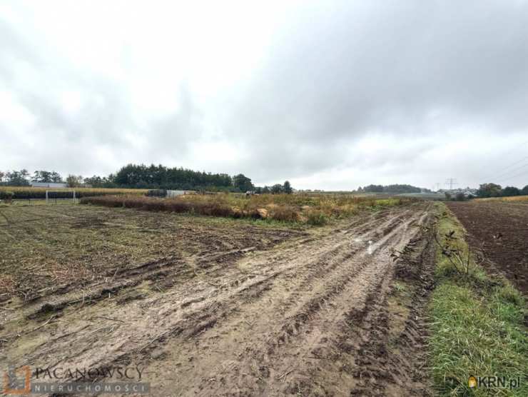 Bibice, ul. , Działki  na sprzedaż, 