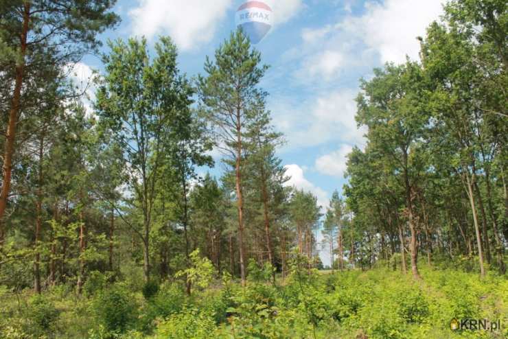 , Błędowo, ul. , Działki  na sprzedaż