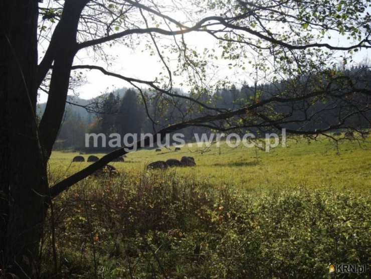 Działki  na sprzedaż, , Boguszów-Gorce, ul. 