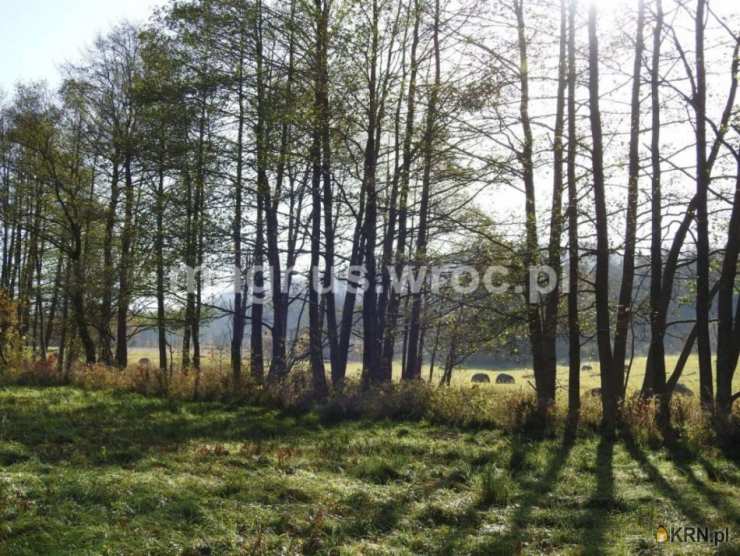 , Boguszów-Gorce, ul. , Działki  na sprzedaż