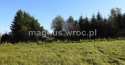 Działki na sprzedaż, Boguszów-Gorce