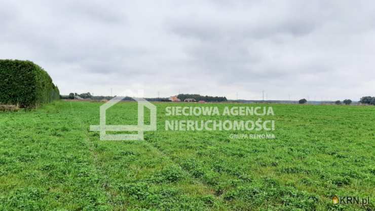Borcz, ul. , , Działki  na sprzedaż