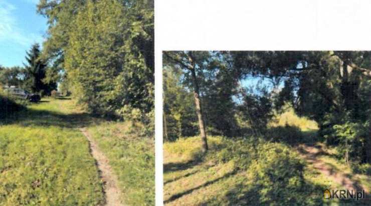 Działki  na sprzedaż, , Budy-Grzybek, ul. 