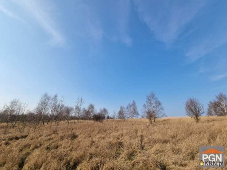 , Buniewice, ul. , Działki  na sprzedaż