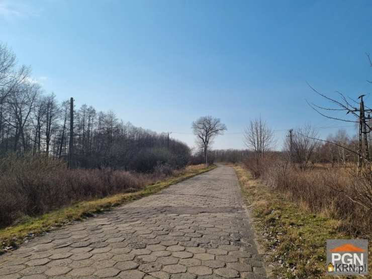 Działki  na sprzedaż, Buniewice, ul. , 