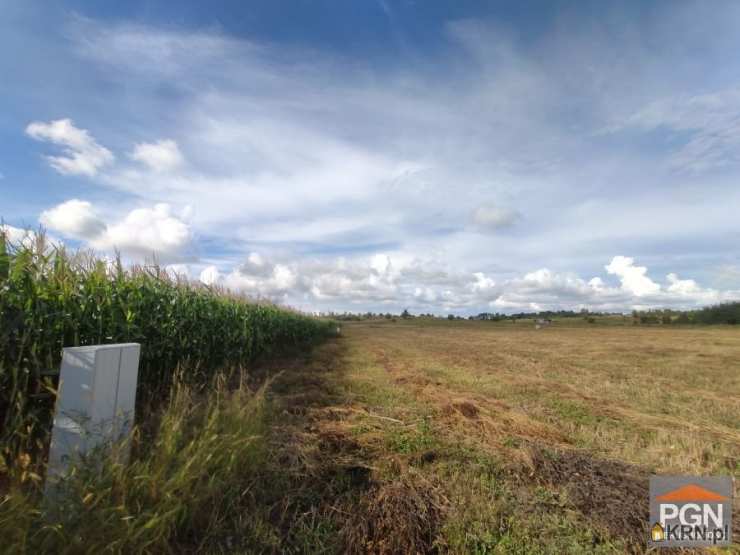 Buniewice, ul. , Działki  na sprzedaż, 